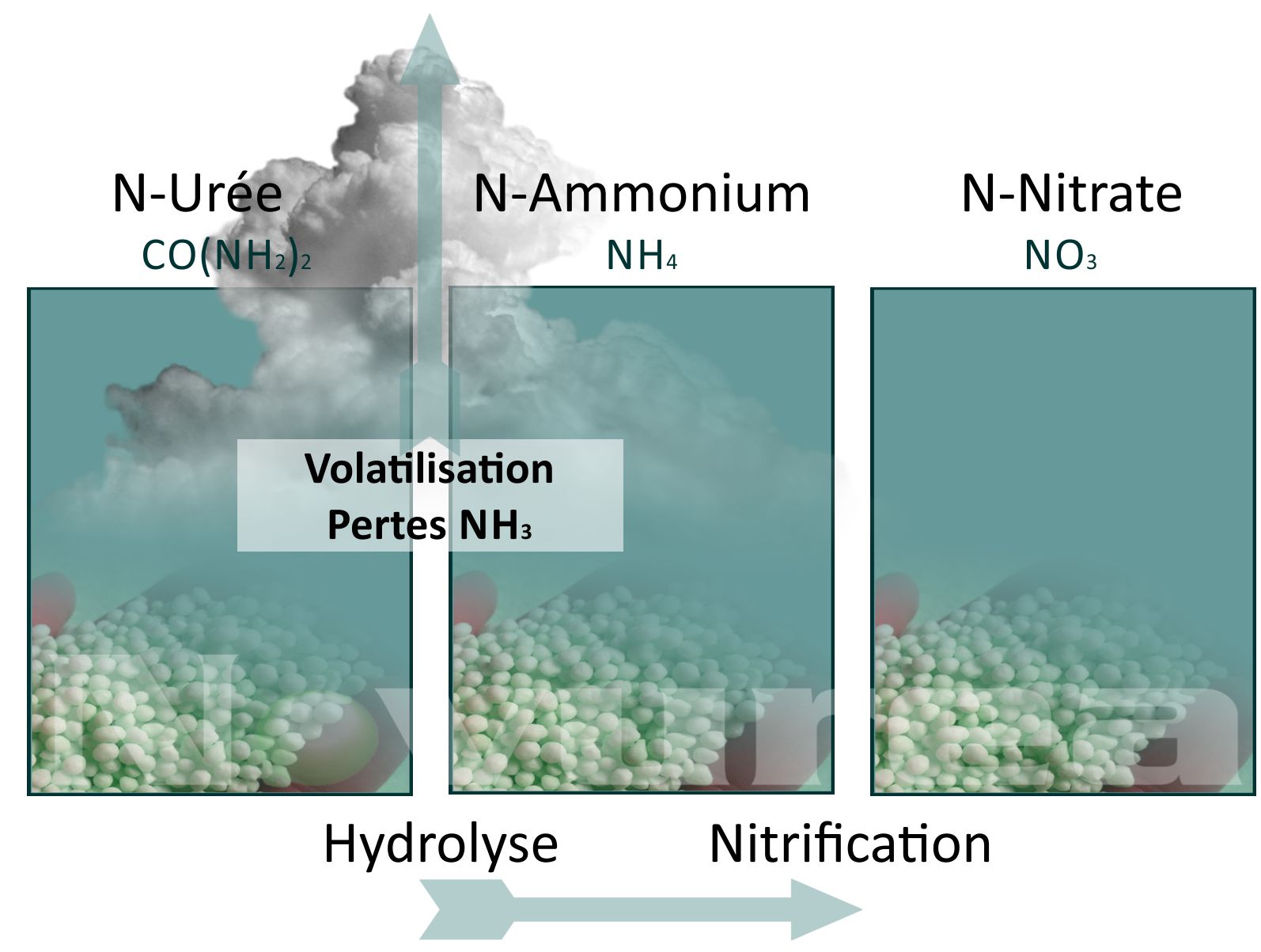 Volatilisation d'ammoniaque